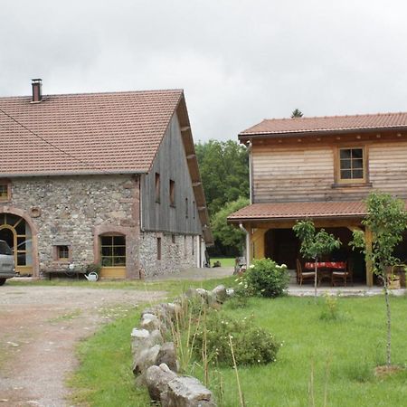 Gites Typiques Au Coeur Des Hautes Vosges Saulxures-sur-Moselotte Zewnętrze zdjęcie