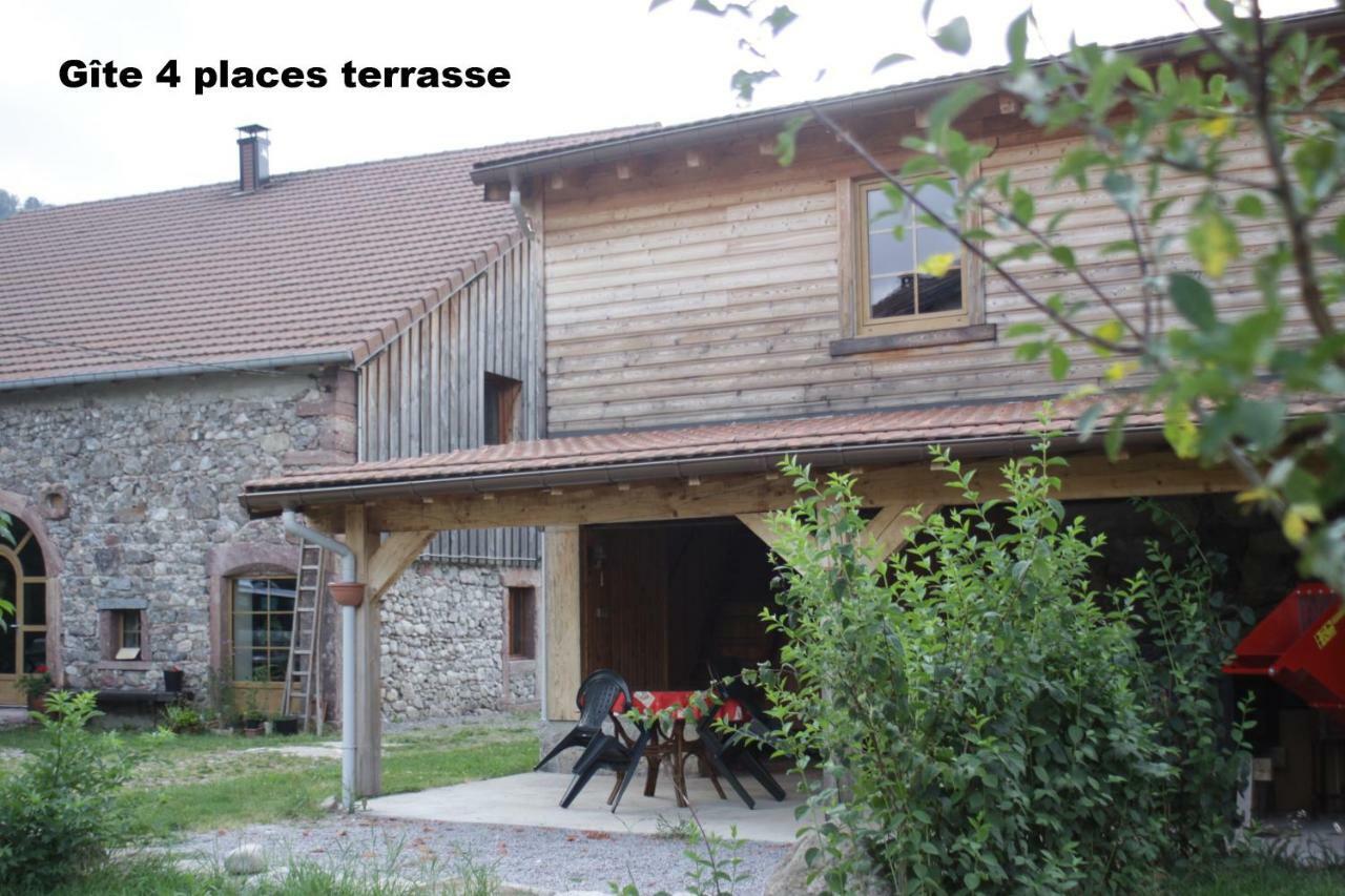 Gites Typiques Au Coeur Des Hautes Vosges Saulxures-sur-Moselotte Zewnętrze zdjęcie