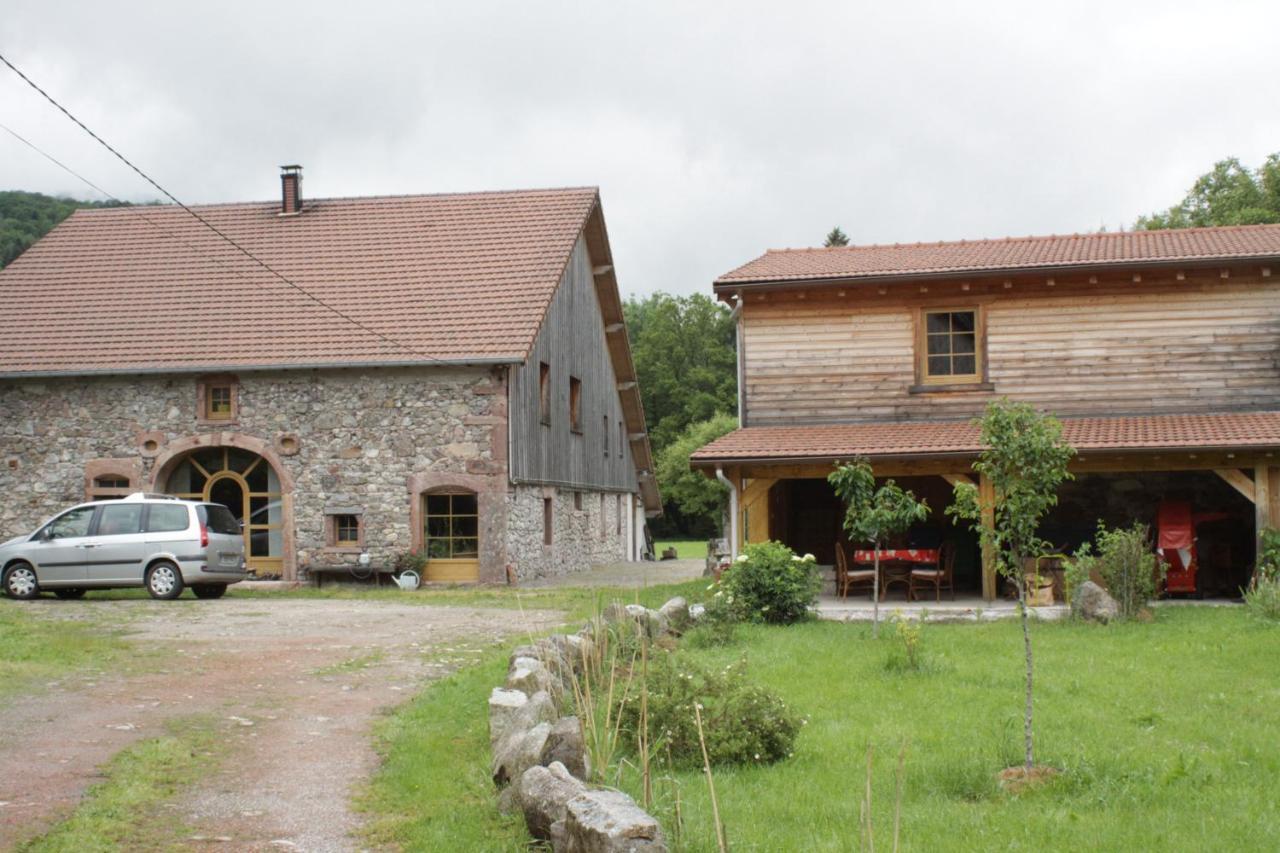 Gites Typiques Au Coeur Des Hautes Vosges Saulxures-sur-Moselotte Zewnętrze zdjęcie